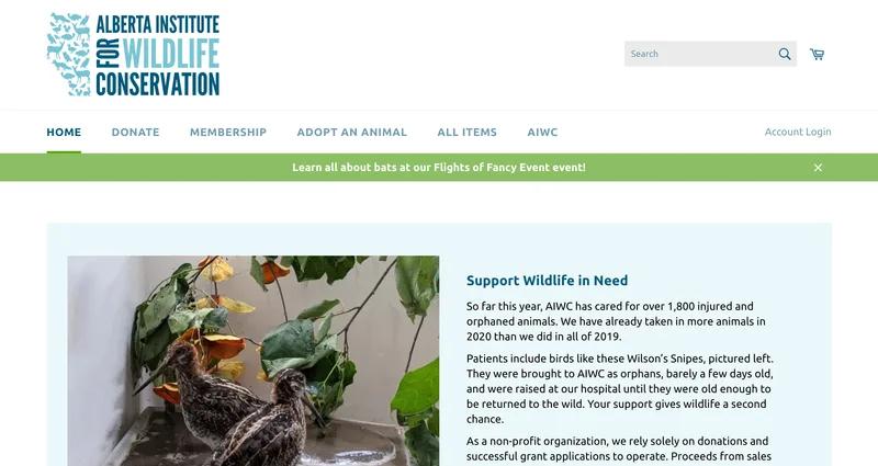 Custom donations flow for non-profit