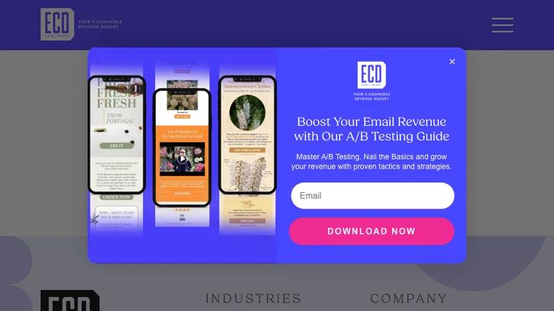 From wholesale to top e-commerce bulb seller with ECD Digital Strategy