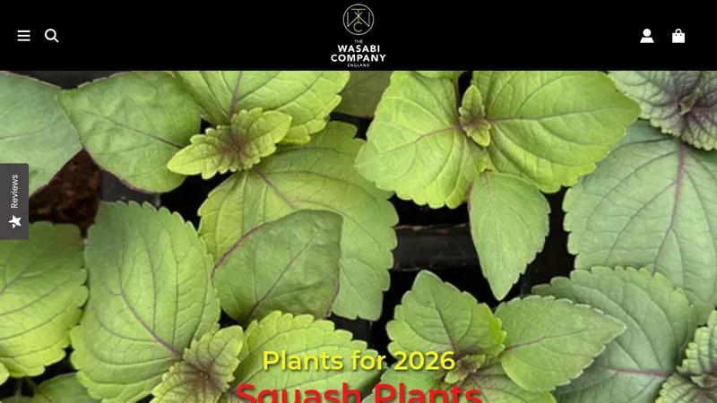 The Wasabi Company - New Site Build & OpenCart Migration
