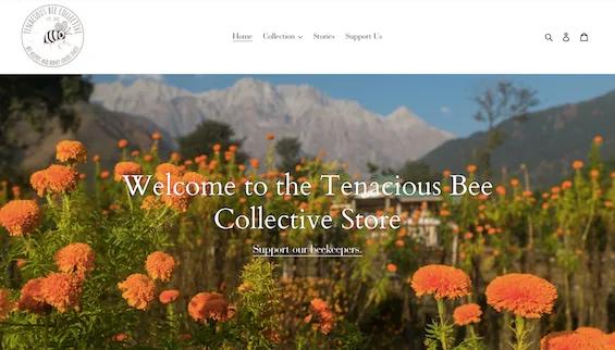 Design and Store set up