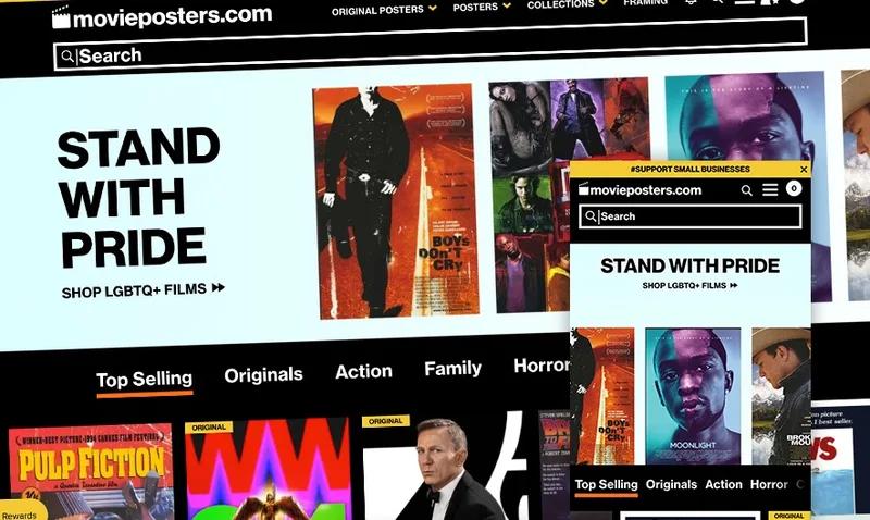 MoviePosters.com: Visual and Functional Customizations