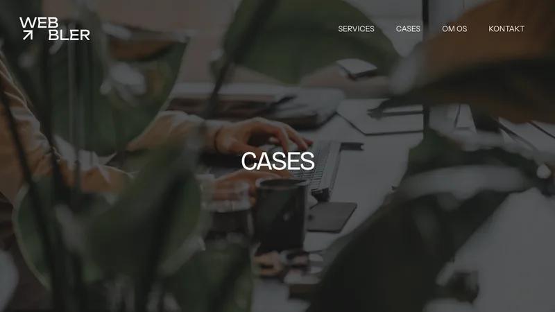 Completely new Shopify 2.0 Webshop reaches 250.000 DKK in revenue