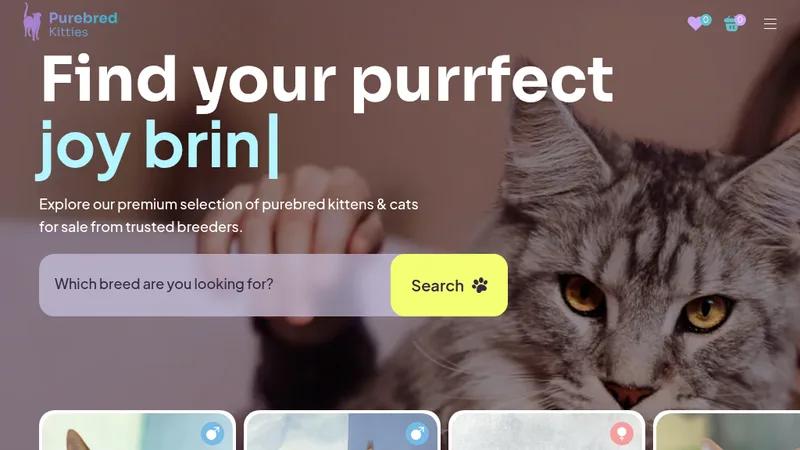 Pure Bred Kitties