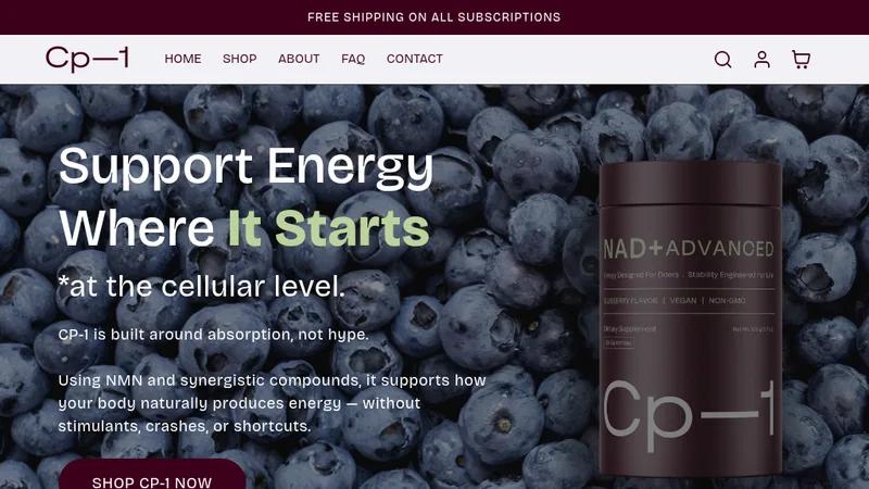 CP-1 - Website Design & Set Up