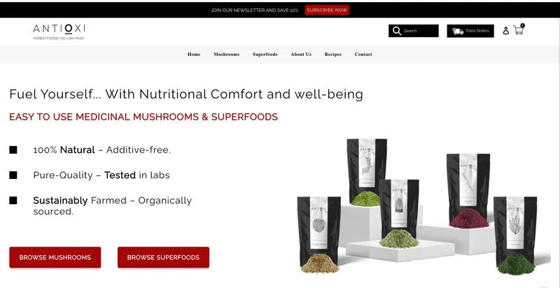 Website theme creation from scratch