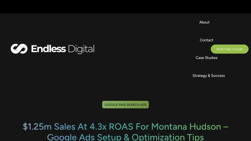 Generating $1.2M at a 4.2x ROAS using Google Ads for MontanaHudson.com