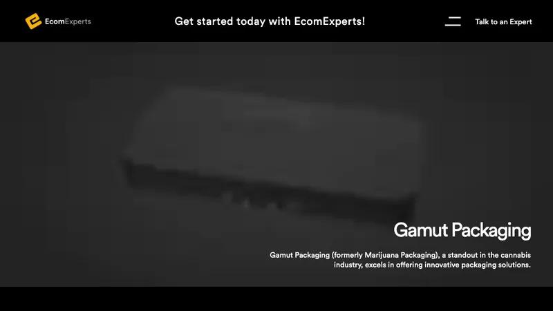 Gamut Packaging - Technical SEO