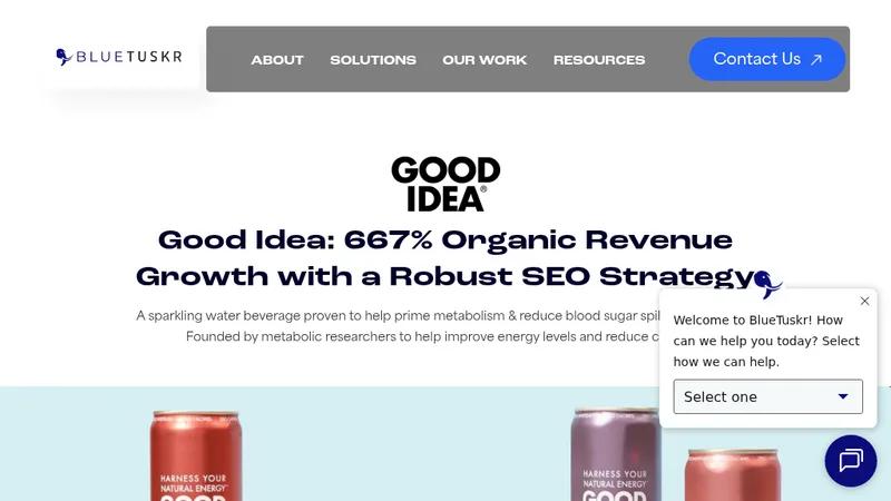 Good Idea: 667% Organic Revenue Growth with a Robust SEO Strategy