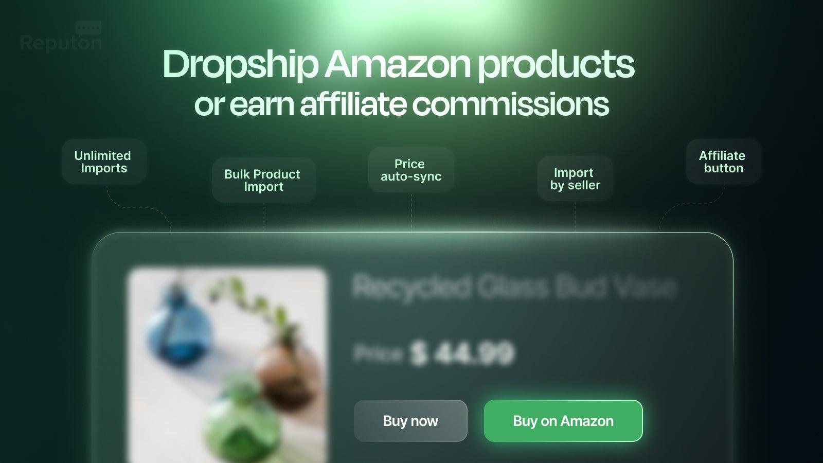 Reputon Amazon Importer screenshot 1