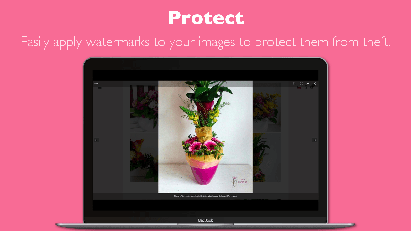 Photo Gallery | Robin PRO screenshot 2