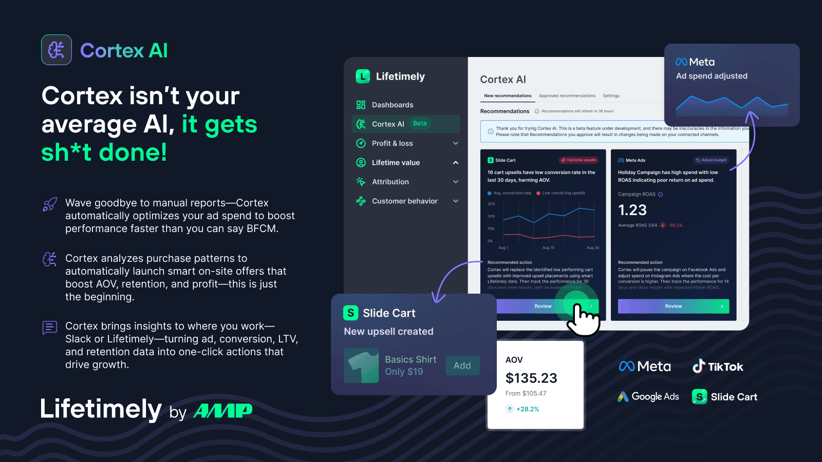 Lifetimely LTV & Profit by AMP screenshot 2