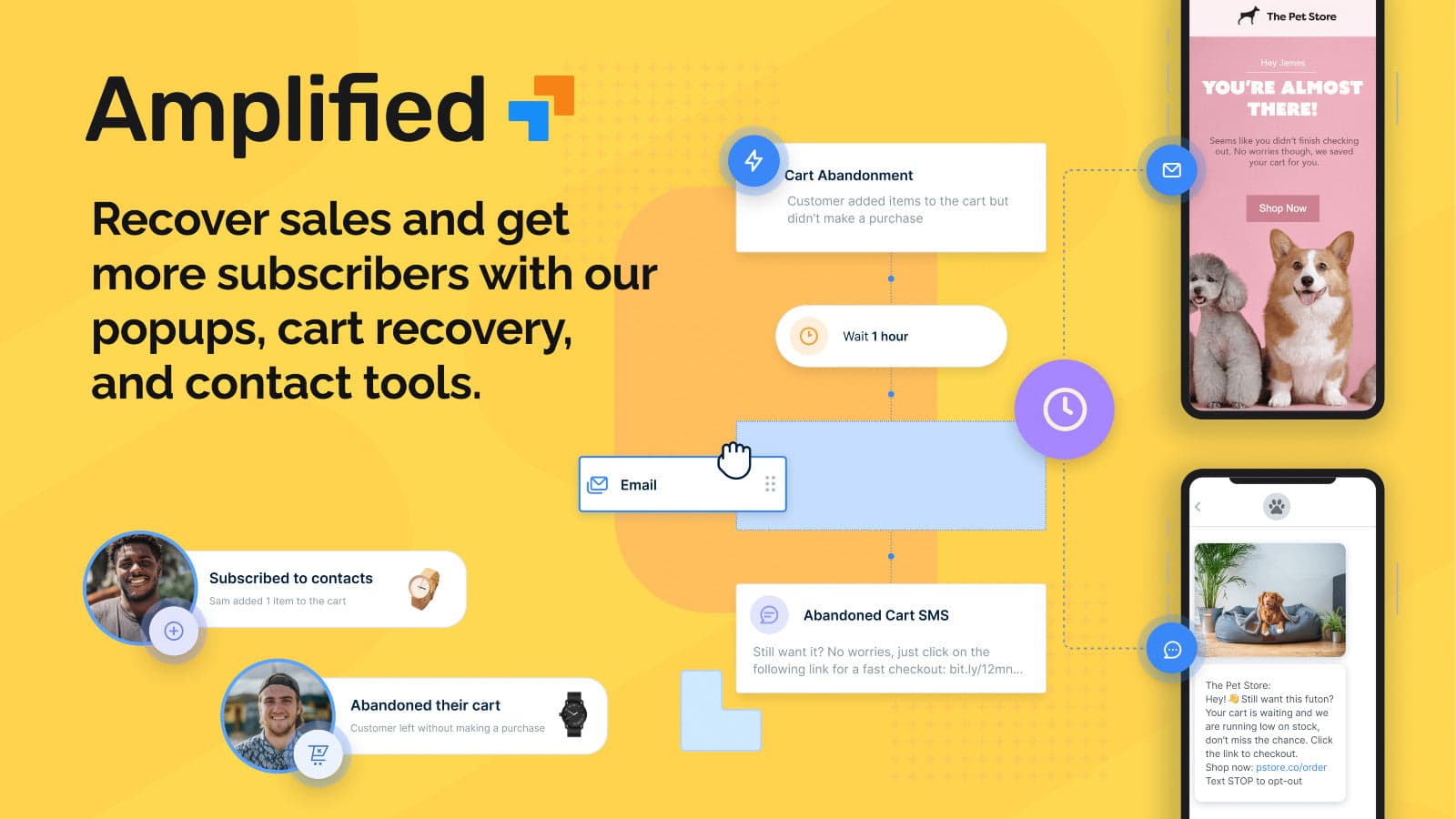 Amplified Email & Abandon Cart screenshot 1