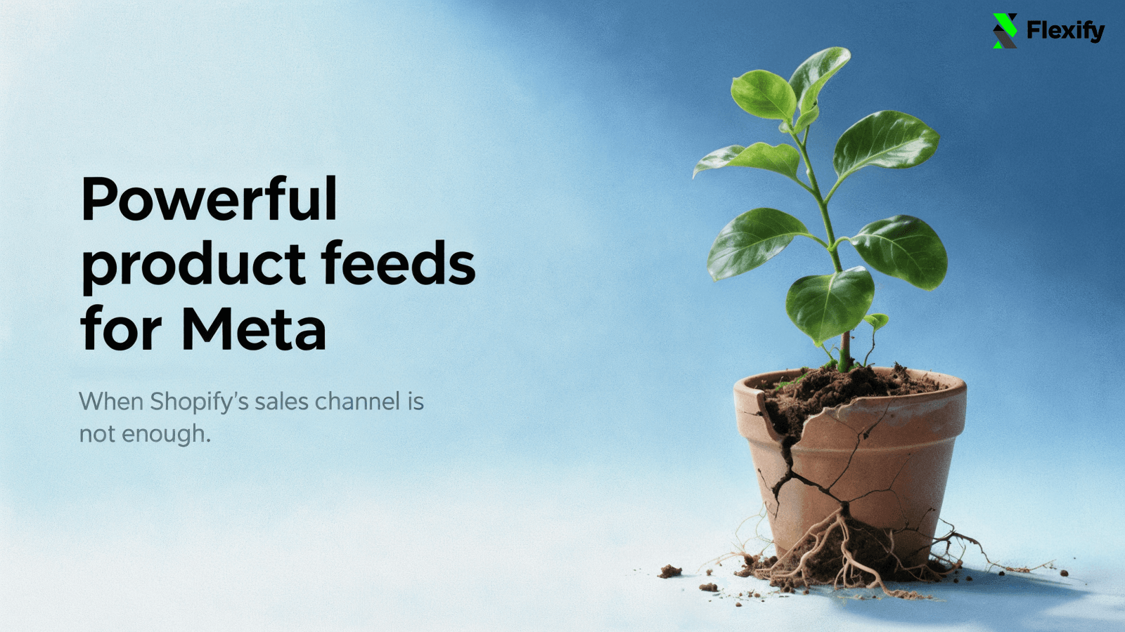 Flexify: Facebook Product Feed screenshot 1