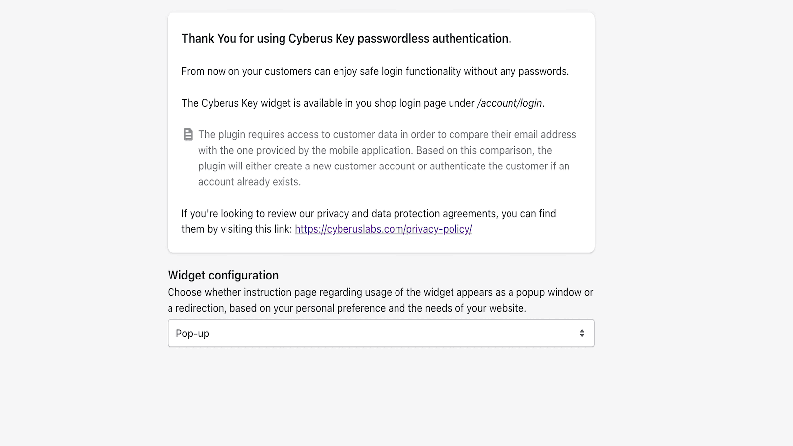 Cyberus Key screenshot 2