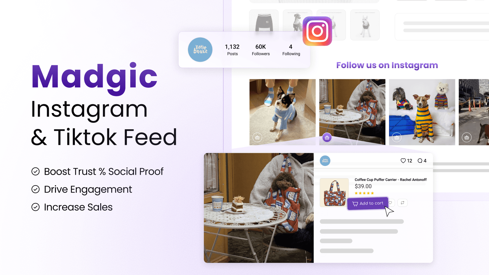 MG Instagram Feed TikTok Feed screenshot 1
