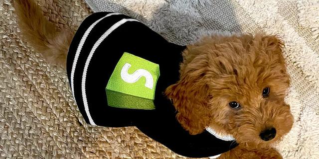 Shopify Supply Is Selling Dog Sweater for &#8220;Hardest Working Entrepupneur&#8221;